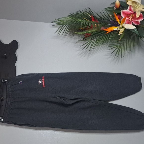 University of Georgia Champion Gray Sweat Pants Size Small - Picture 1 of 6